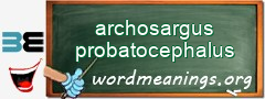 WordMeaning blackboard for archosargus probatocephalus